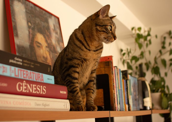 Inventaire.io facilite le partage pour les amoureux des livres