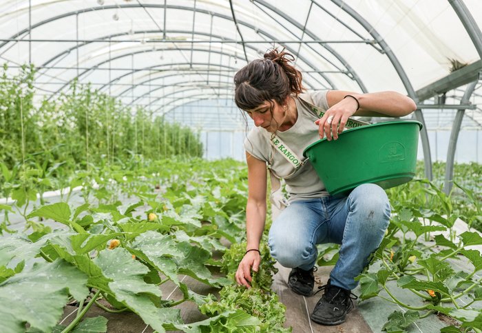 LeCourtCircuit.fr, les avantages pour les producteurs